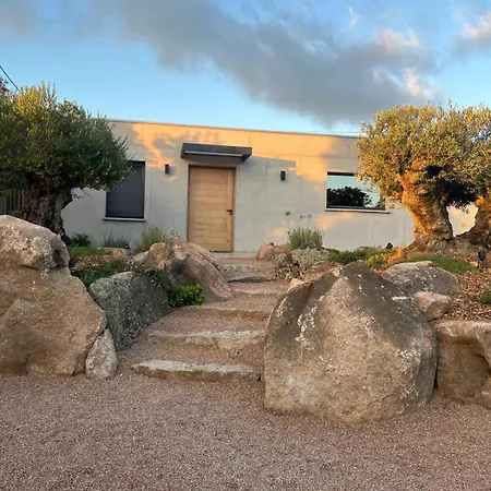 Contemporary With Pool In Trinité