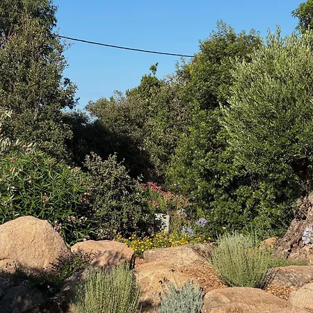 Σπίτι διακοπών Contemporary With Pool In Trinite *