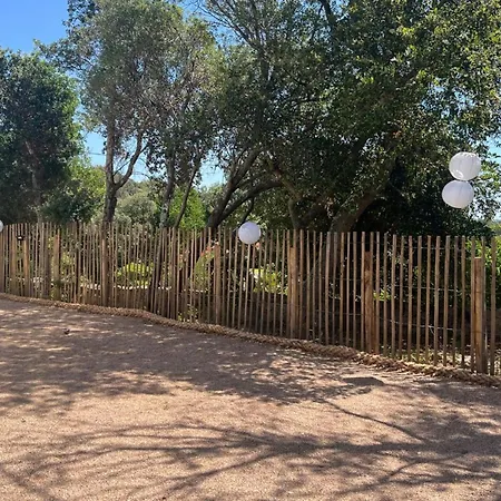 Сasa de vacaciones Contemporary With Pool In Trinité *