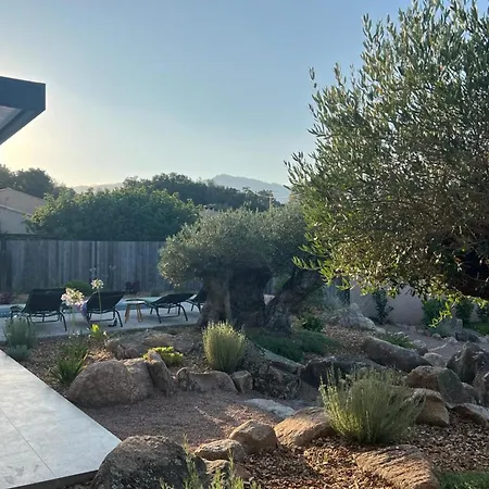 Contemporary With Pool In Trinite Ferienhaus Porto-Vecchio (Corsica)