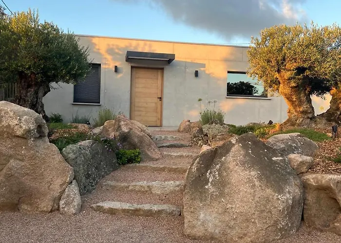 Contemporary With Pool In Trinite