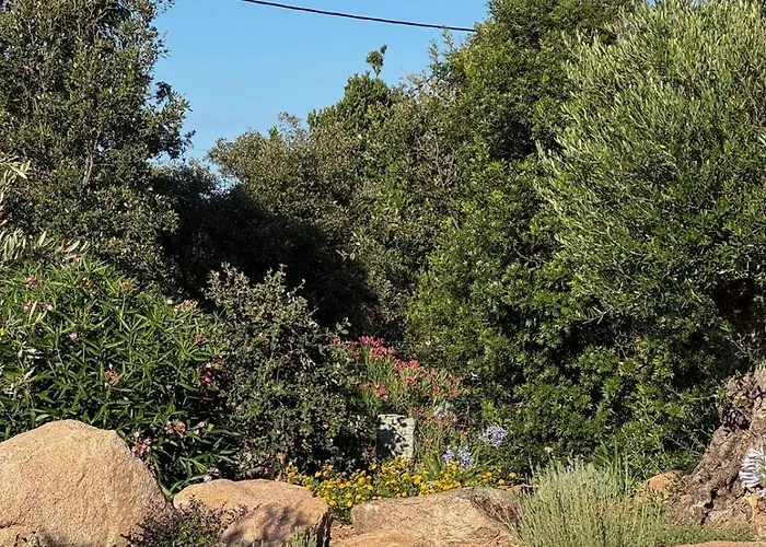 度假居 Contemporary With Pool In Trinite *